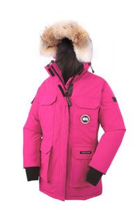 Canada Goose