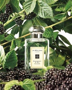 JO MALONE BLACKBERRY & BAY