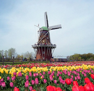 Keukenhof in spring