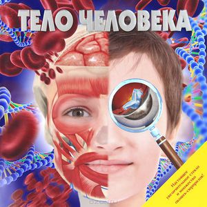 Тело человека (изд. Фактор)