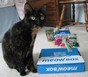 Meowbox