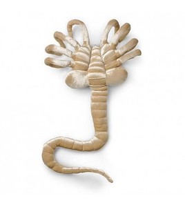 Плюшевый facehugger