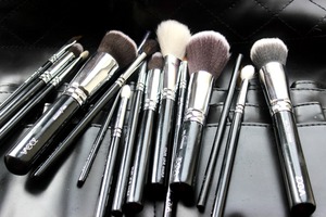 Zoeva brushes