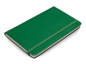 Moleskine plain notebook large