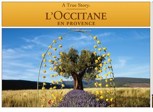 сертификат в L'occitane