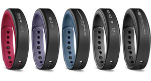 Garmin Vivosmart