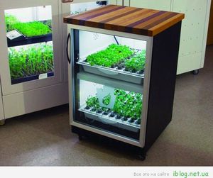 Домашняя грядка с фитолампами (Urban Cultivator)