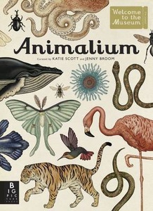 книга Animalium (Welcome to the Museum)