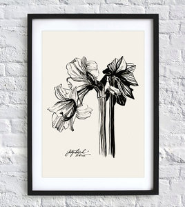 Amarillis #2 Flower graphic print A4