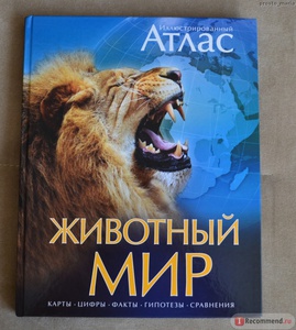 Бамбарадения, Вудрафф, Гинзберг: Животный мир. Иллюстрированный атлас Подробнее: http://www.labirint.ru/books/300770/