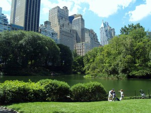 Central park