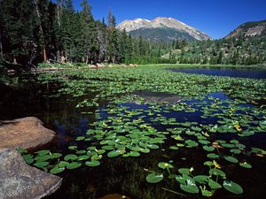 Путешествие в национальный парк Rocky Mountain в Колорадо, США