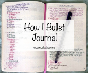 try bullet journal system