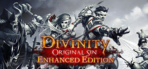 Divinity: Original Sin Enhanced Edition - Collector's Edition