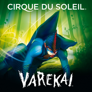 Цирк Дю Солей - шоу Varekai