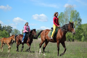 Конный поход (туризм)