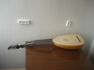 13 course baroque lute gouse neck