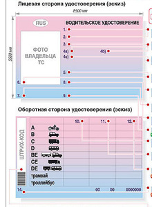 Получить водительское удостоверение