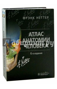 Книга по анатомии человека