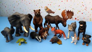 Фигурки животных и птиц Mojo, Animal Planet, Schleich