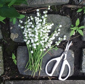 lily of the valley bouquet