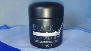 Mizon Black Snail All In One Cream