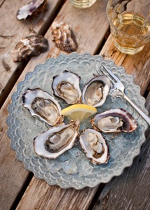 Oysters