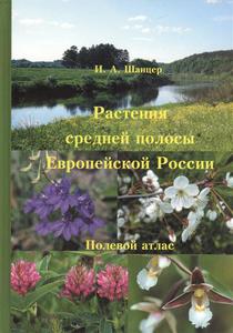 Шанцер И. - Растения средней полосы Европейской России. Полевой атлас