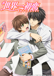 Диск с 1 и 2 сезоном Sekai Ichi Hatsukoi