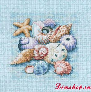 Shells On Blue (Ракушки на голубом) 13725 Dimensions