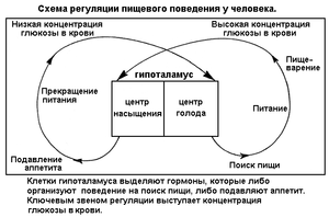 Нормальное пищевое поведение