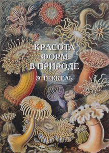 Геккель. "Красота форм в природе".