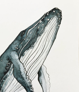 A5 whale print