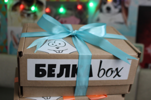 Белка-box