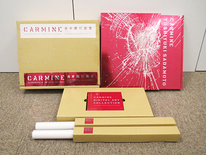 Artbook Carmine