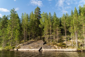 В Карелию