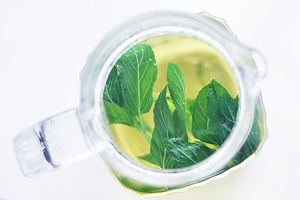 fresh mint tea