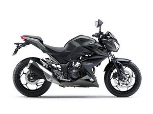 Kawasaki Z300 black