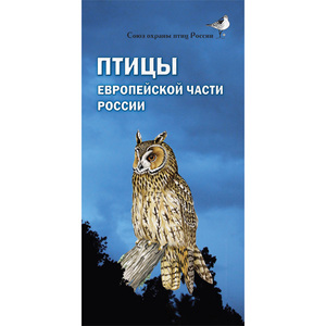 Птицы Европейской части России. Полевой определитель