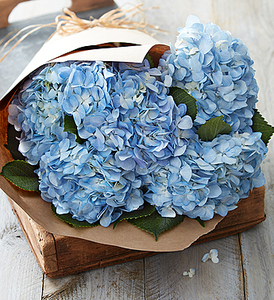 Hydrangea bouquet