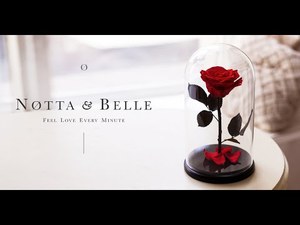 notta belle роза в стеклянной колбе