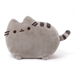 любой Pusheen