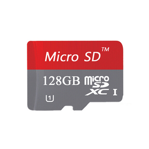 microSDXC Class 10