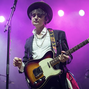 билет на Peter Doherty