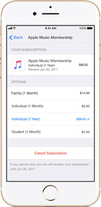 Годовая подписка на Apple Music