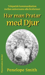 Hur man pratar med djur