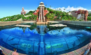 Поездка в Siam Park