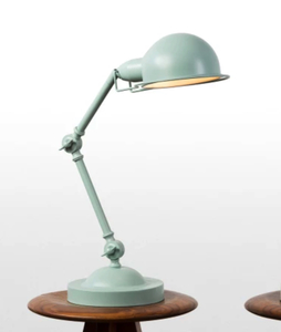 Duck egg desk lamp