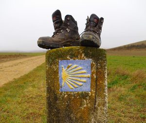 Camino de Santiago