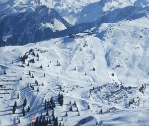 Montblanc Skiing